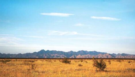 Looking Beyond the Wall: Encountering the Humanitarian Crisis of Border Politics Image
